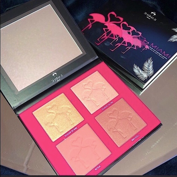 🆕🔥SHAINA B MIAMI BLUSH& HIGHLIGHT PALETTE STUNNING COLORS BEAUTIFUL ON SKIN - Picture 4 of 9
